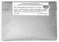Puccinia annularis image